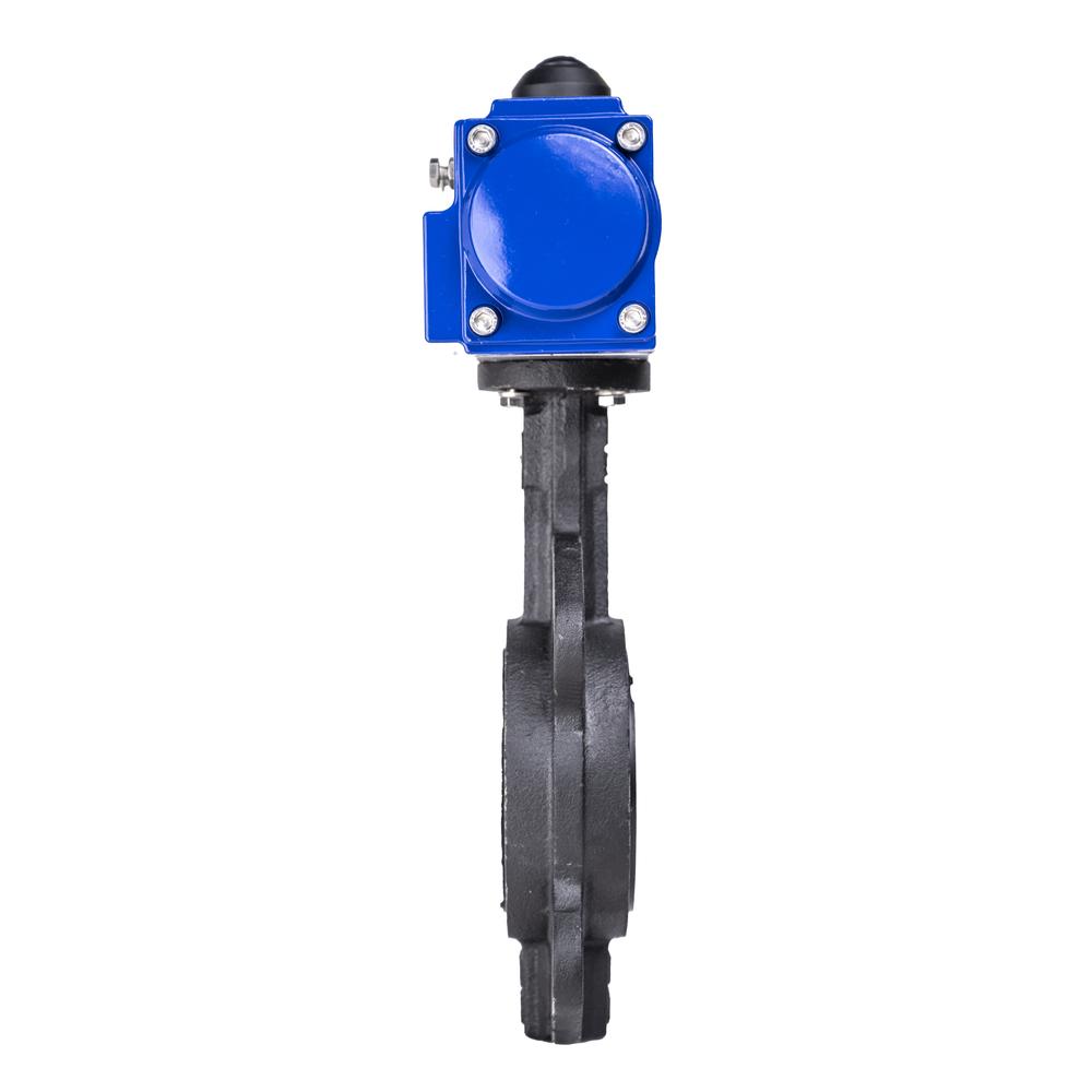 HK59-D Cast Iron Pneumatic Actuated Butterfly Valve