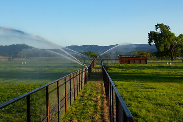 irrigation system